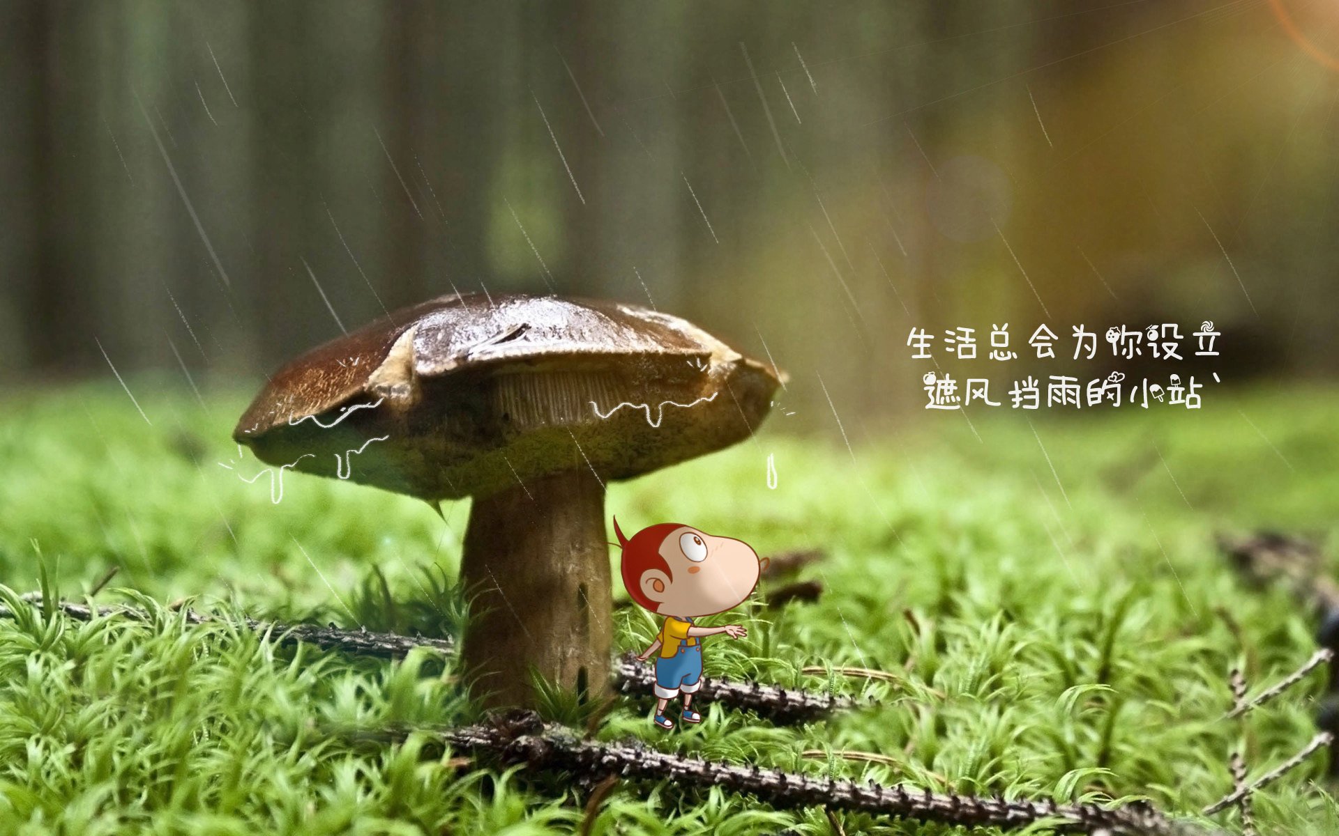 随机托特纳姆热刺官宣新援，望冲击欧冠席位，托特纳姆热刺主力