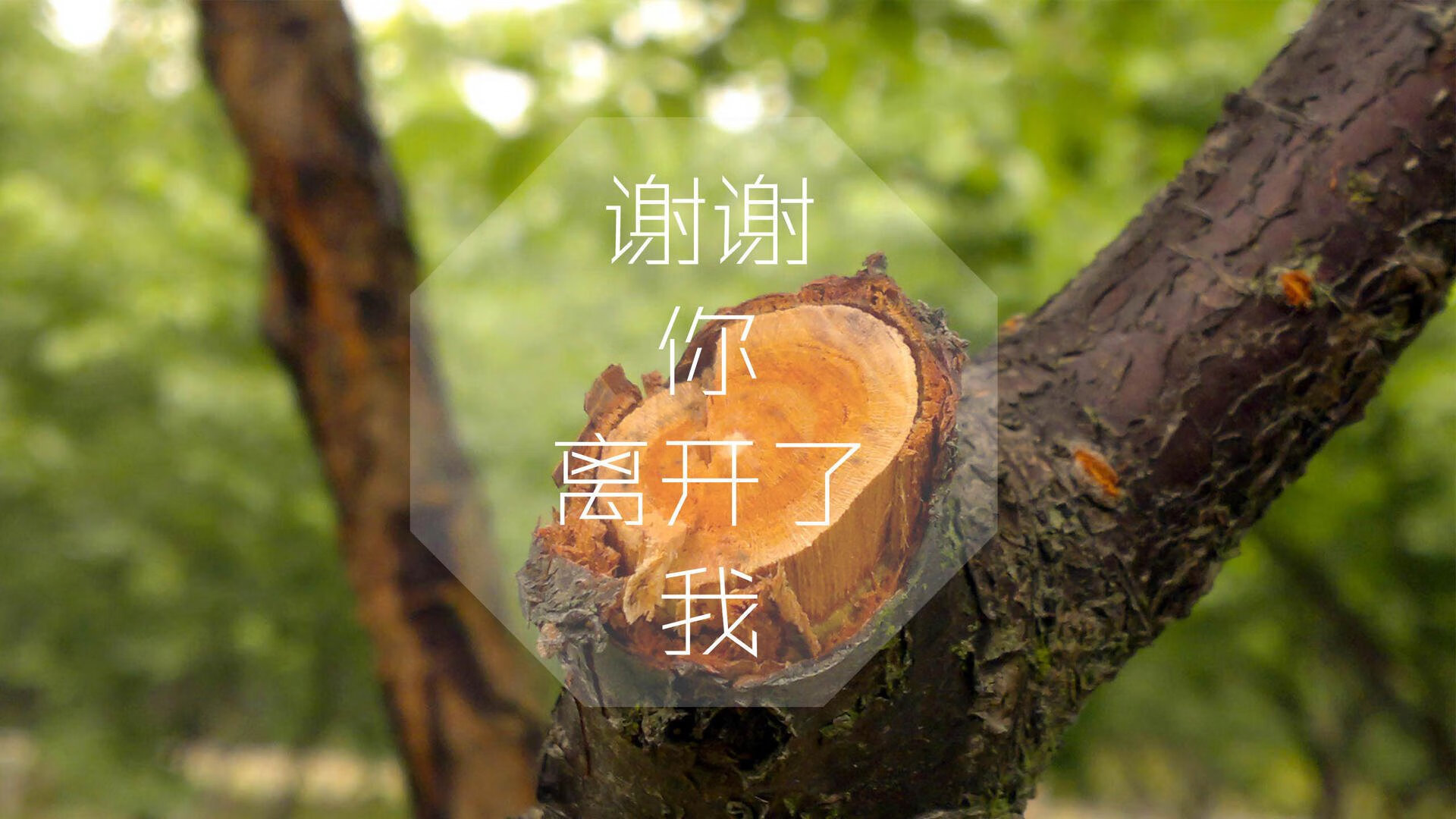 未来技术“预演”：全息投影、AI裁判助推比赛智能化，全息投影发展现状2021