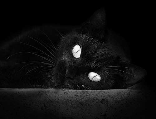 球员心理辅导：打造心理坚韧的冠军队伍，球员心态