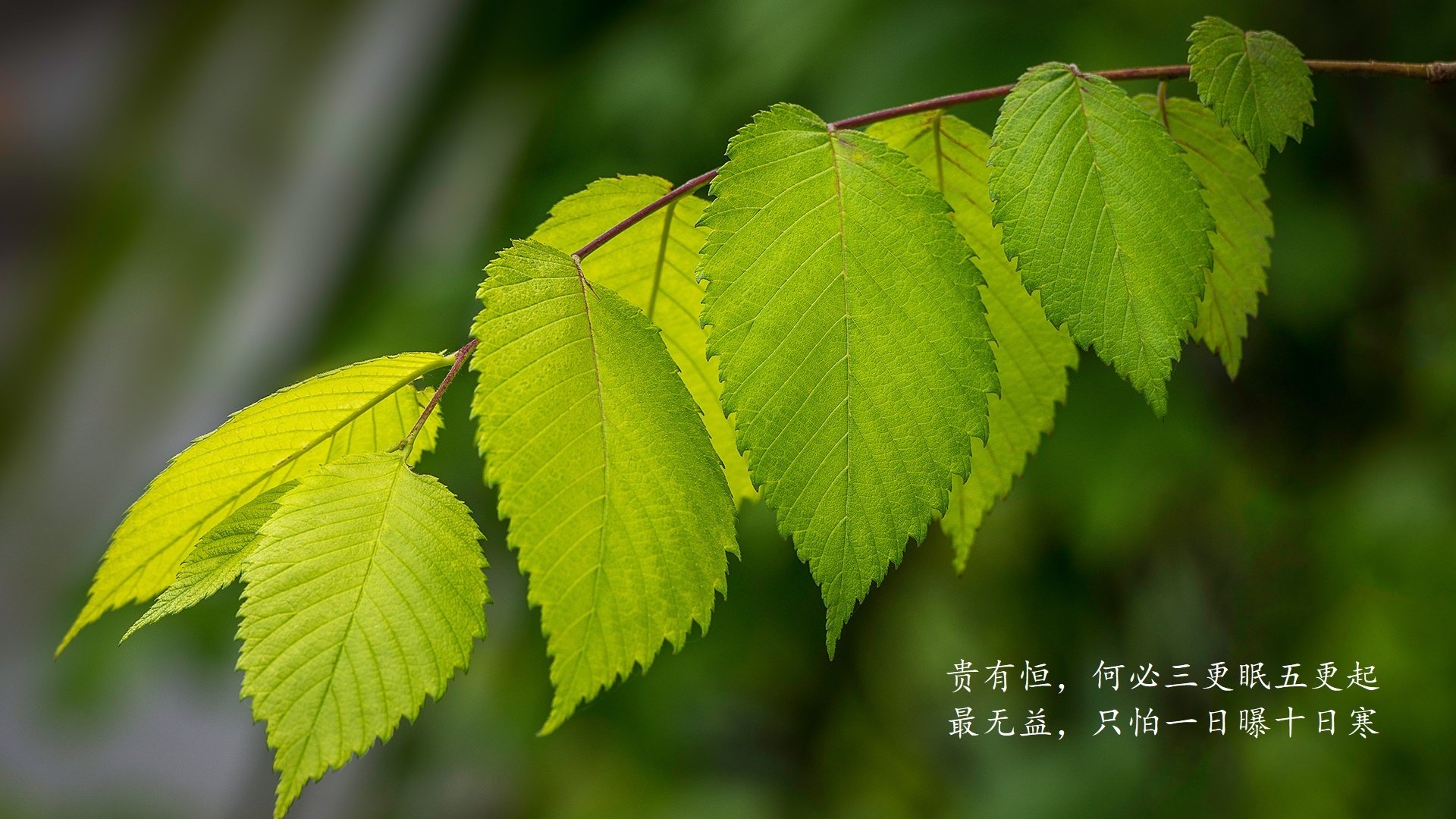 kaiyun开云·官方网站-CBA赛事奖金提升 鼓励球员表现，cba球队奖金