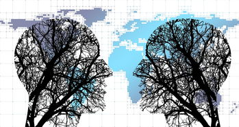 开云官网登录-体育新闻中心协同多方建立体育内容风控机制，体育新闻机构