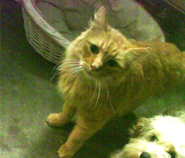 开云官网登录-体育新闻中心发布体育数据隐私保护白皮书，最新的体育新闻报道在哪看