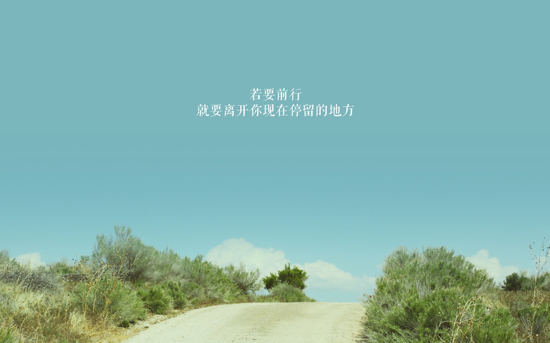 体育新闻中心深化体育赛事数字版权保护联盟合作,体育赛事信息