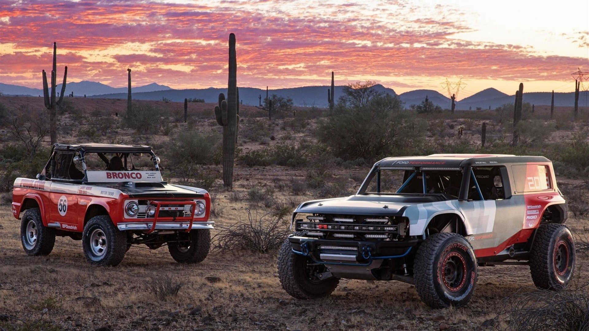 开云·体育全站登录地址-成绩构成分布图：中美表现渐趋接近，成绩的构成