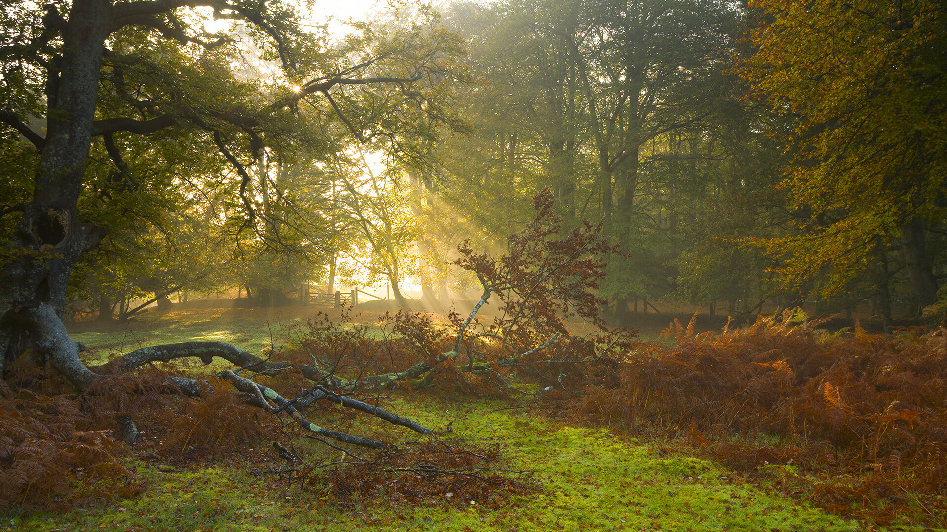 比赛密度升高是否会促使联赛整体打法保守化,密度的竞赛题