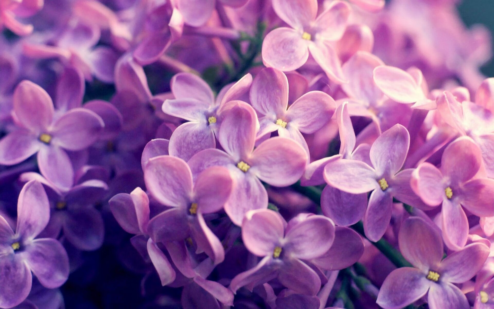 羽毛球国家队测试战术适应能力模型,国家队羽毛球体能测试