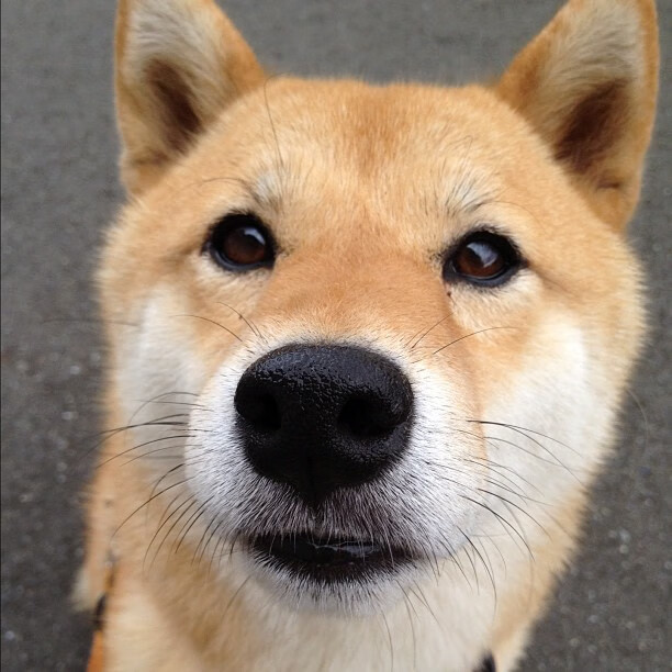 开云APP-赛事组织人才培训项目开放全国报名通道，赛事组织专业