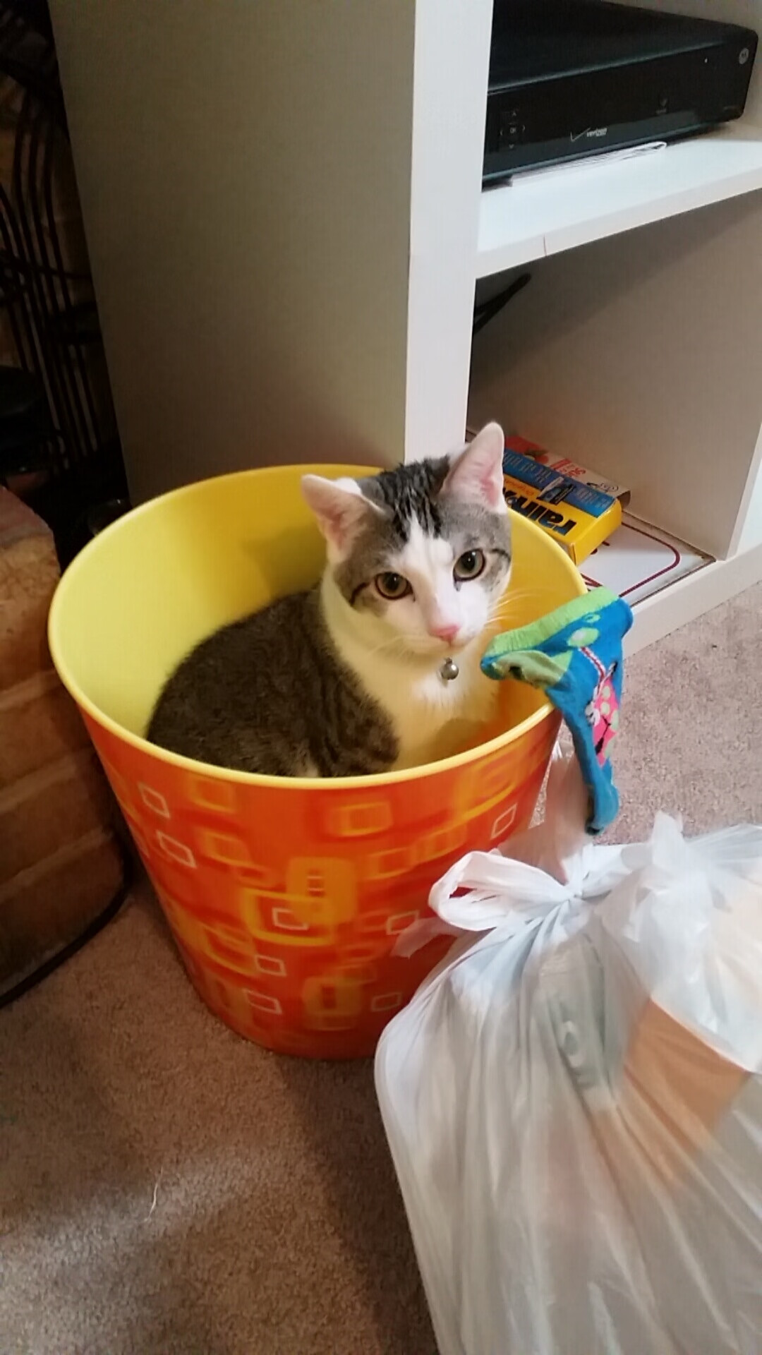 中学篮球推广篮球竞技礼仪规范培养良好风气,篮球赛推广