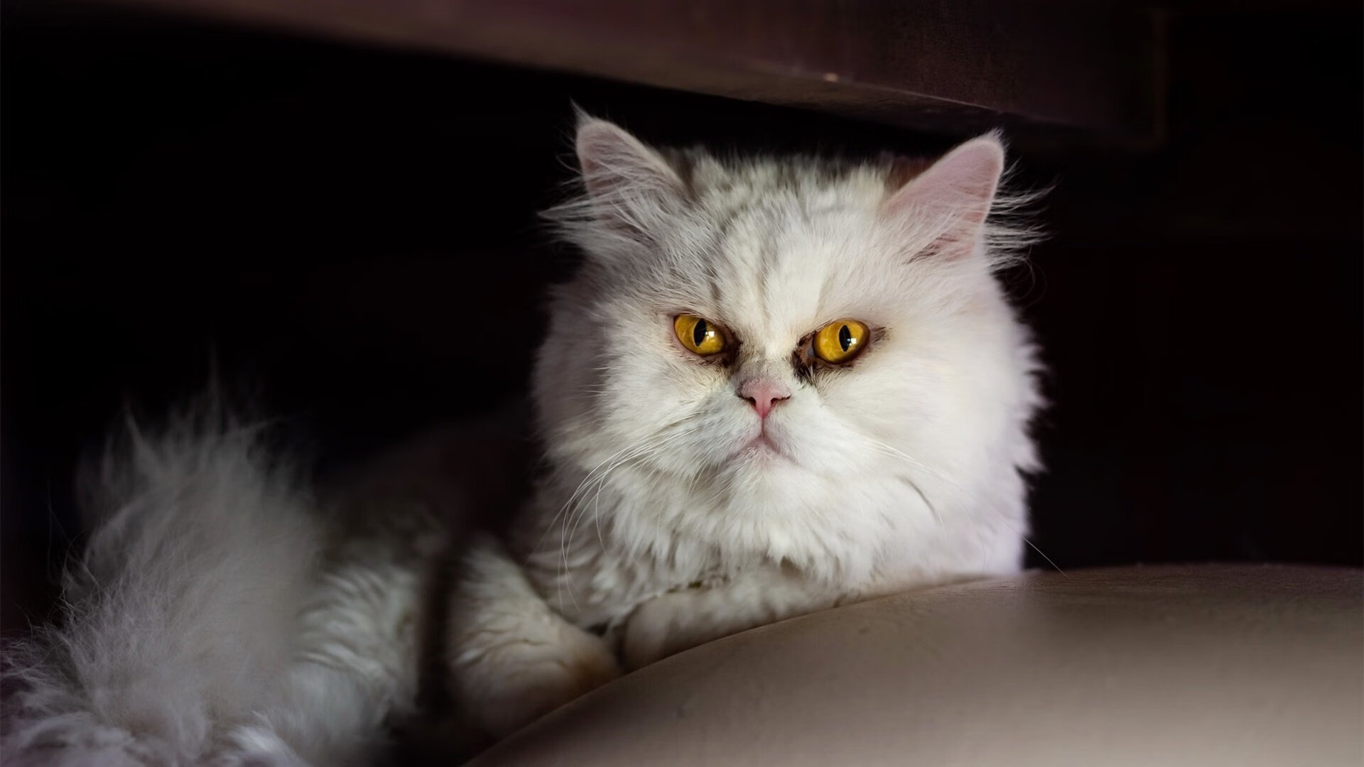 克洛普带领利物浦不断创新战术，追求更高荣誉