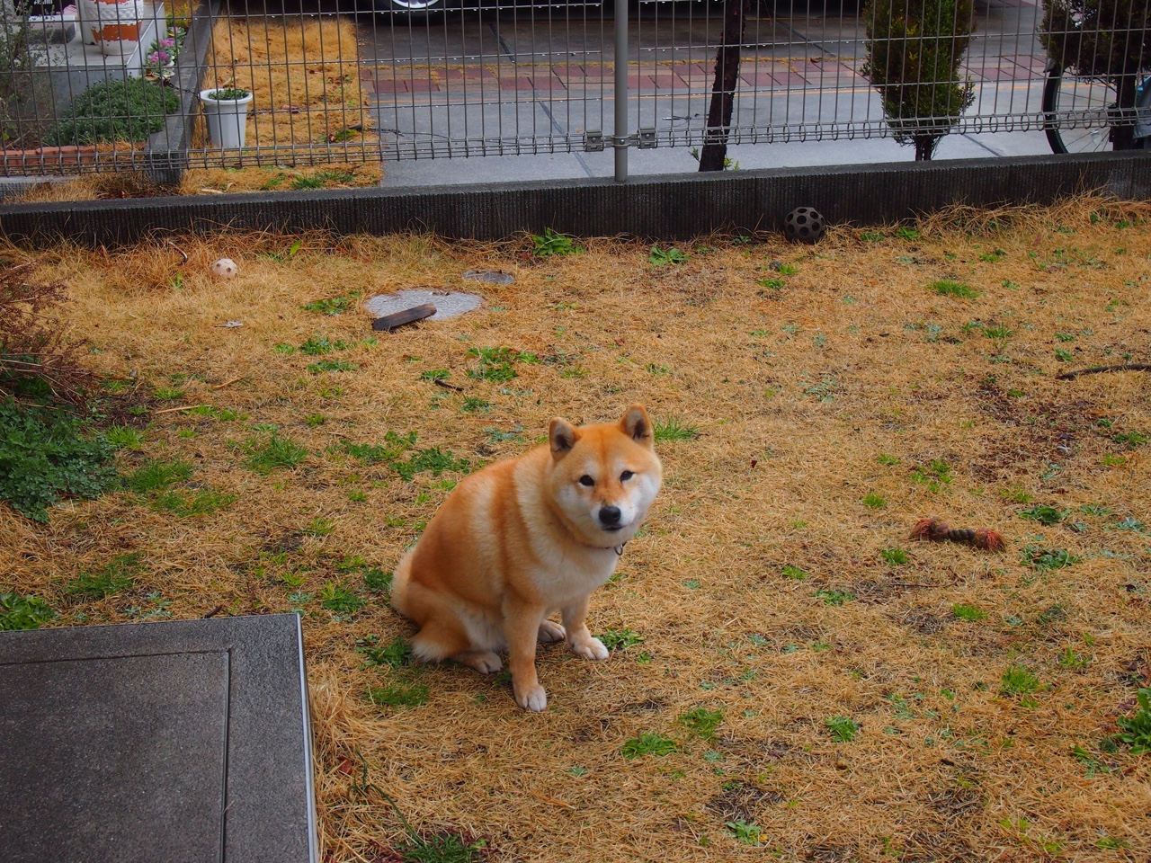 kaiyun中国官方网站-哈斯克赛后感谢团队支持，哈斯克赛后感谢团队支持的话语