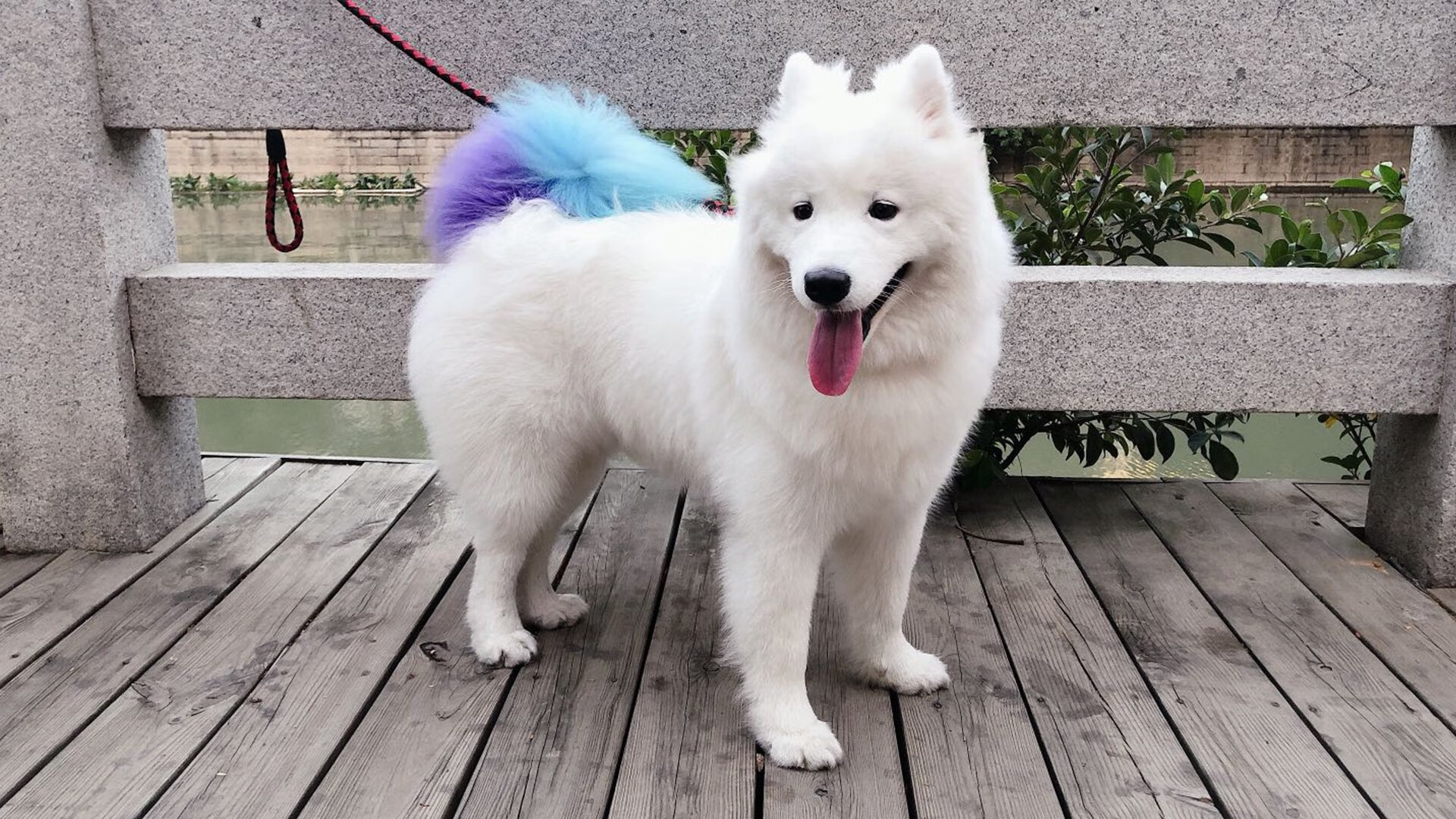 KAIYUNAPP-女子足球打造社交平台官方人物卡扩大粉丝影响力，女子足球美女