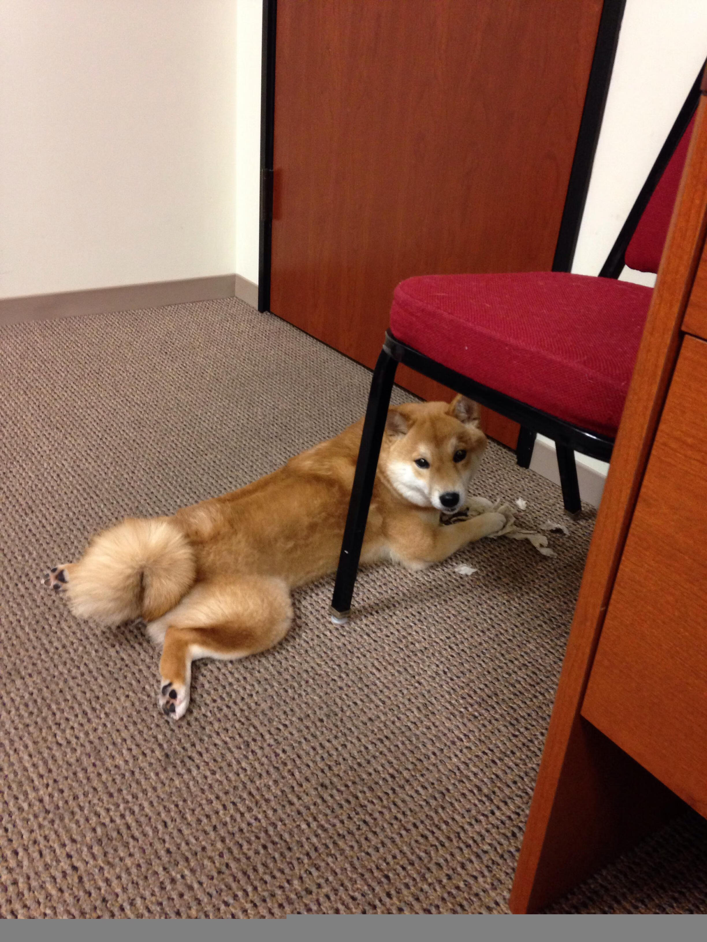 开云全站-新闻中心发布体育场馆票务优惠政策及使用说明，体育场馆免费开放方案