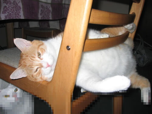 浓眉保护篮下多次干扰对手出手，nba浓眉打什么位置