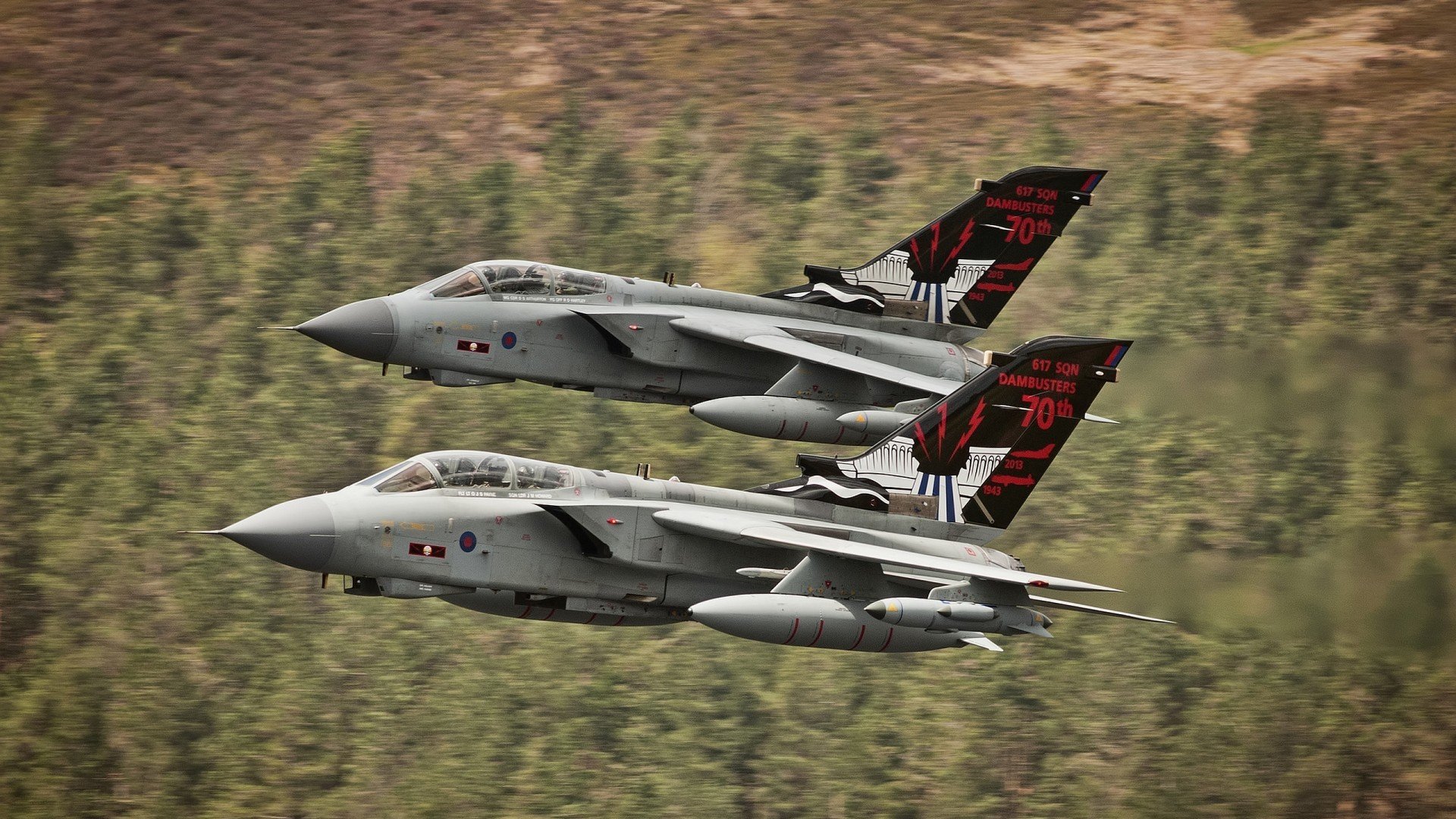 网球天王德约科维奇再创神迹，网球名将德约科维奇简介