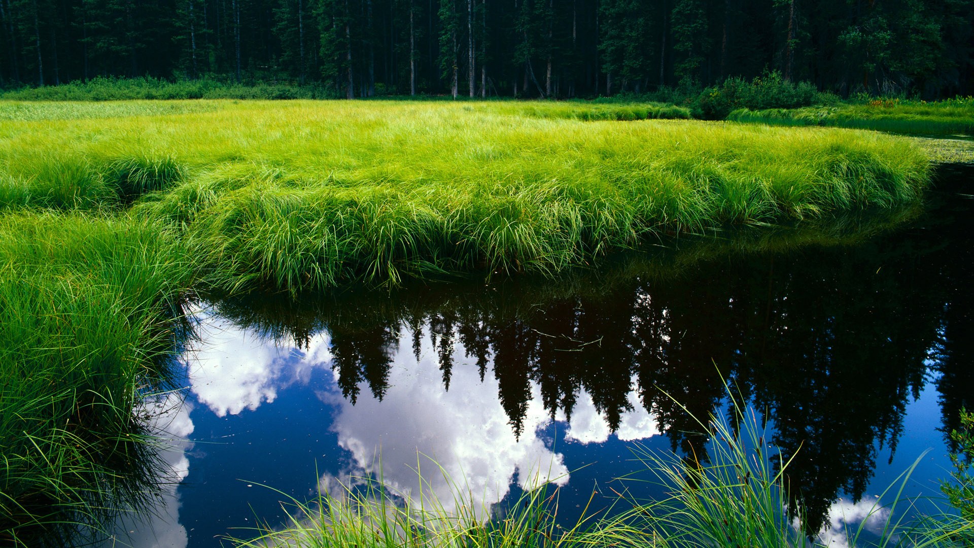 菲律宾女篮在亚洲锦标赛中夺冠,篮球运动再升温