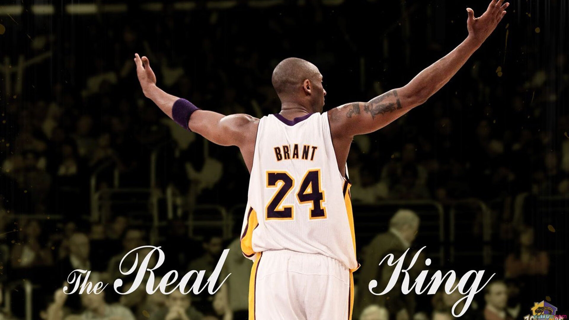 _全民健身长跑：享受运动带来的健康生活_，全民健身跑活动方案